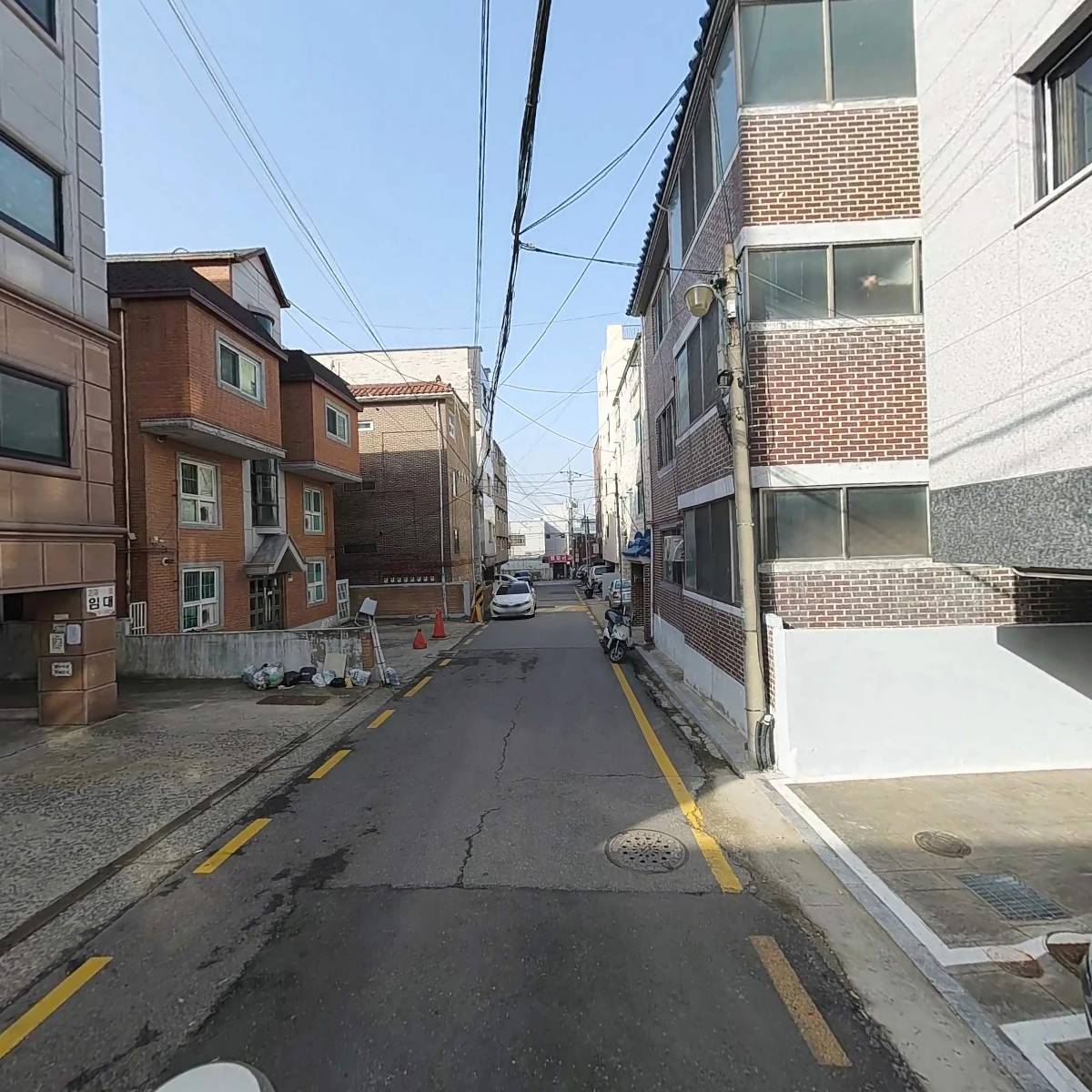 네쌍스_2