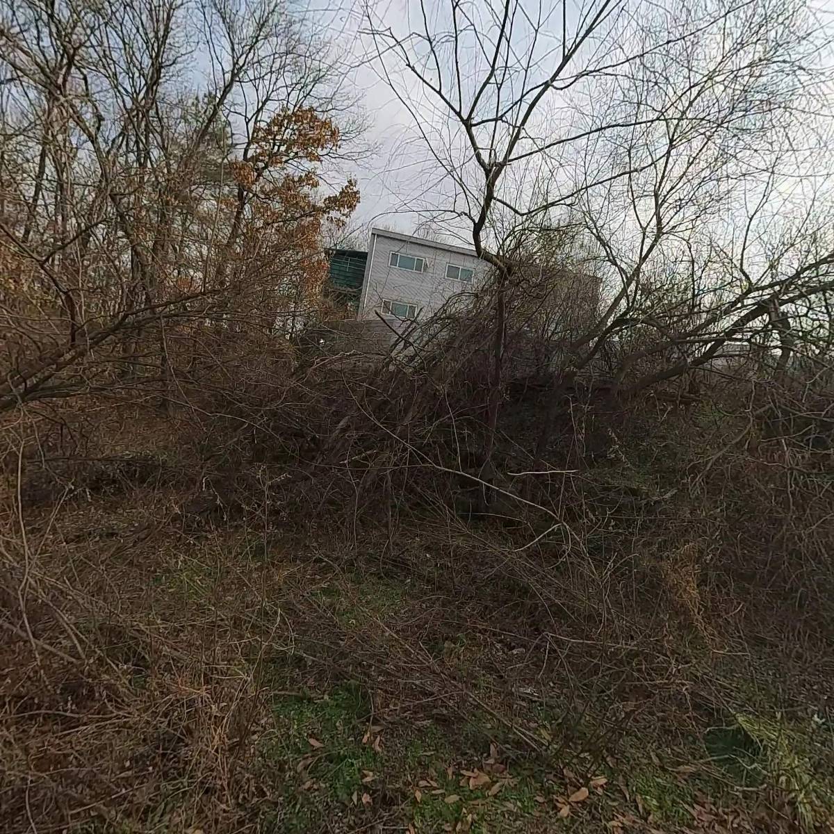 임정택