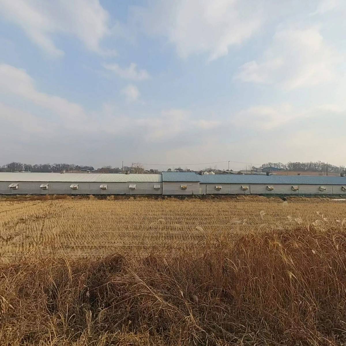 농업회사법인양지부화장(주)