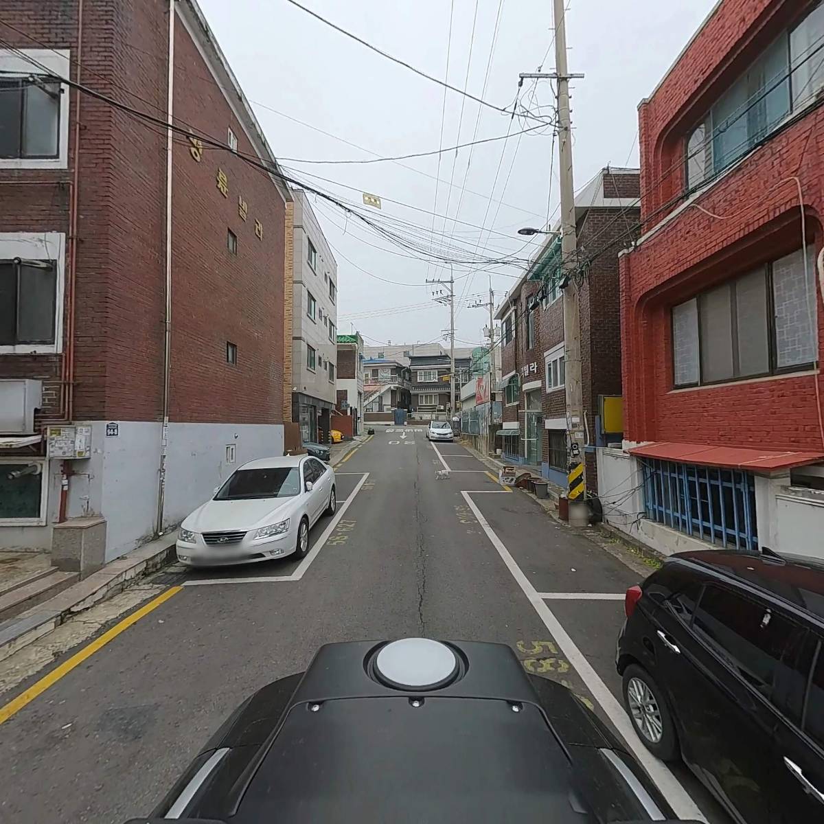벌스데이블루_2