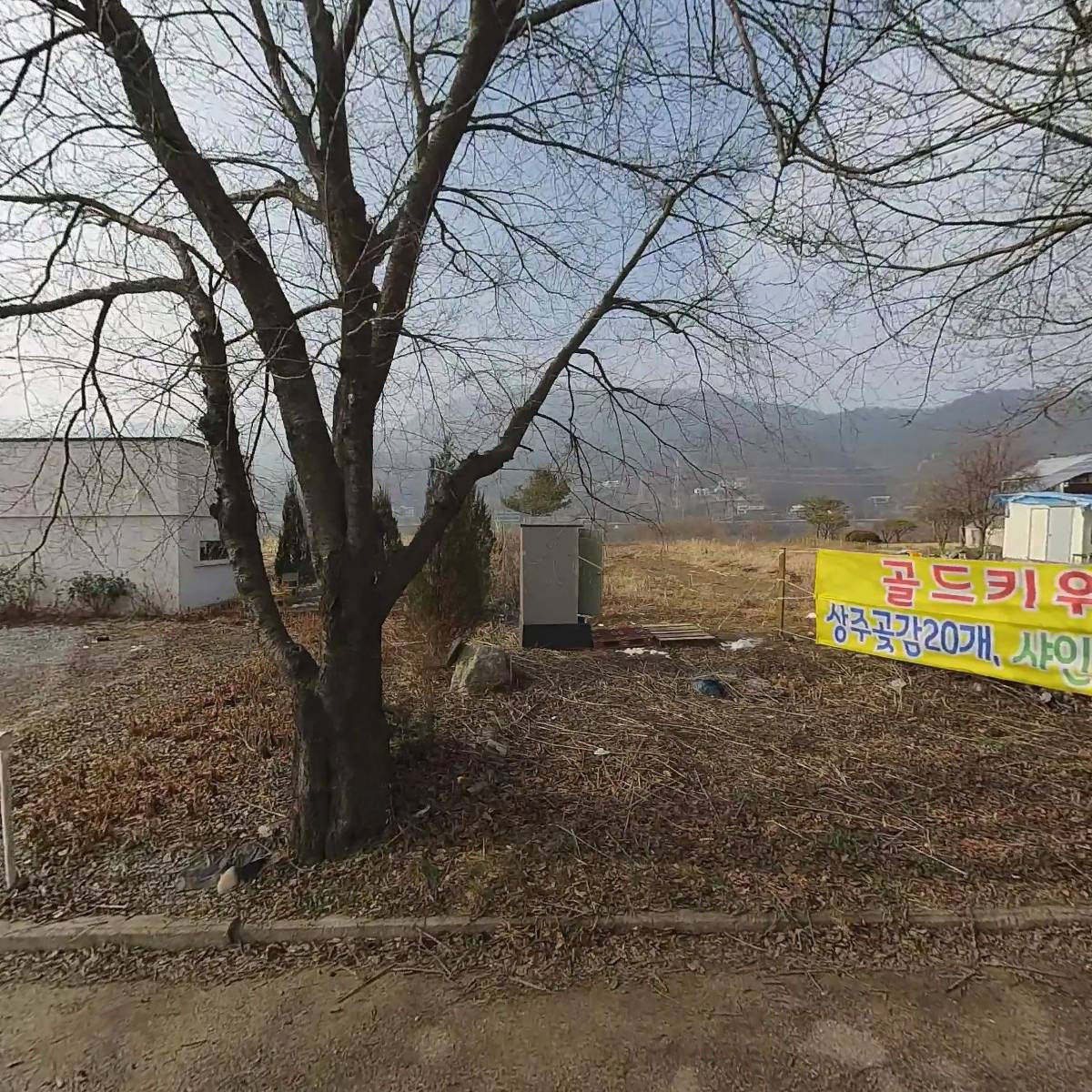 좋은나무