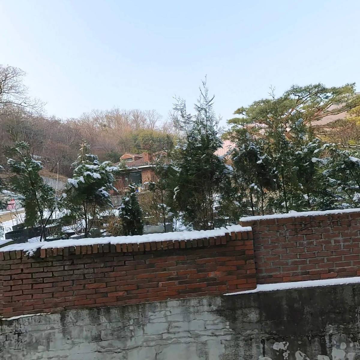 레베니