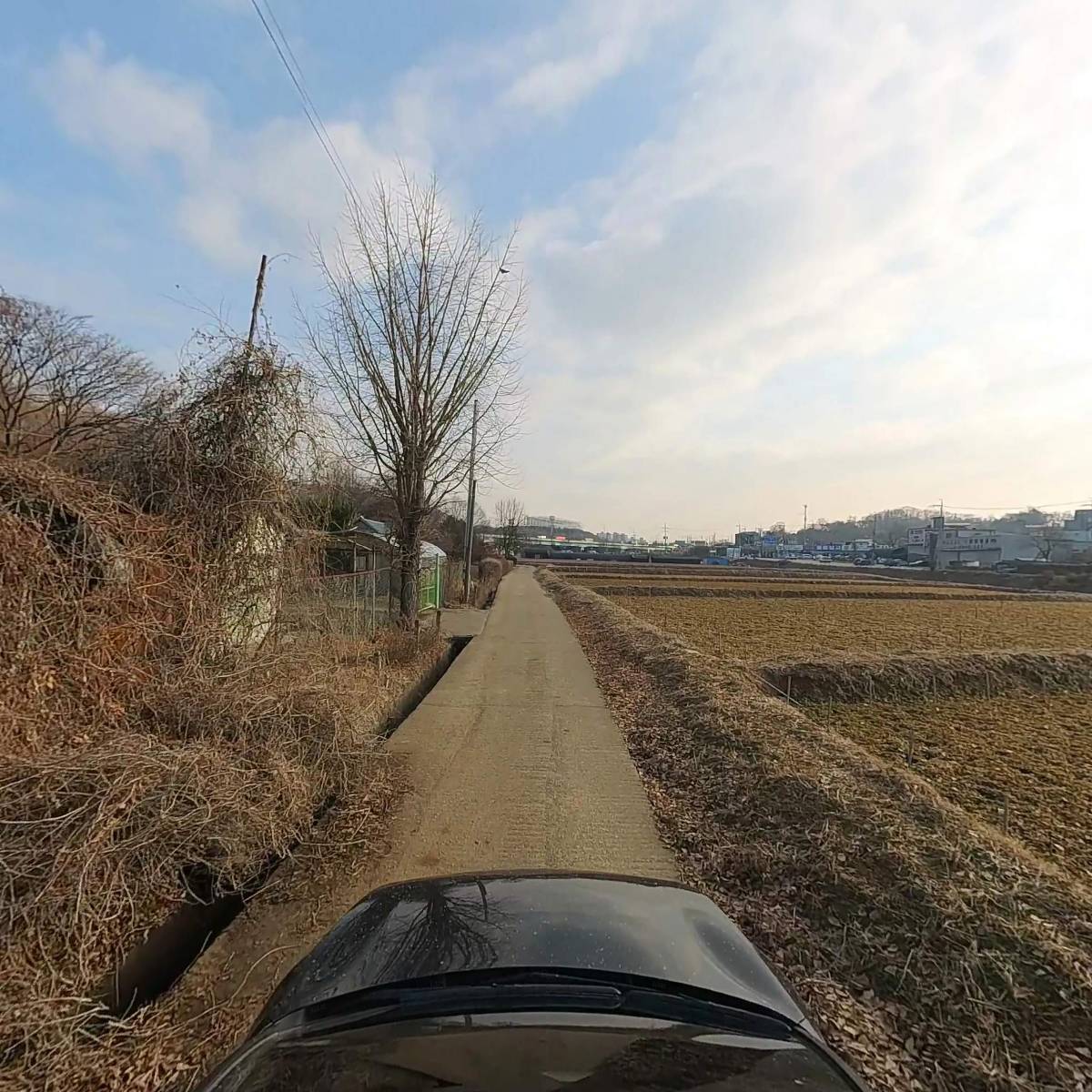 굽는삼계탕식료찬미_4