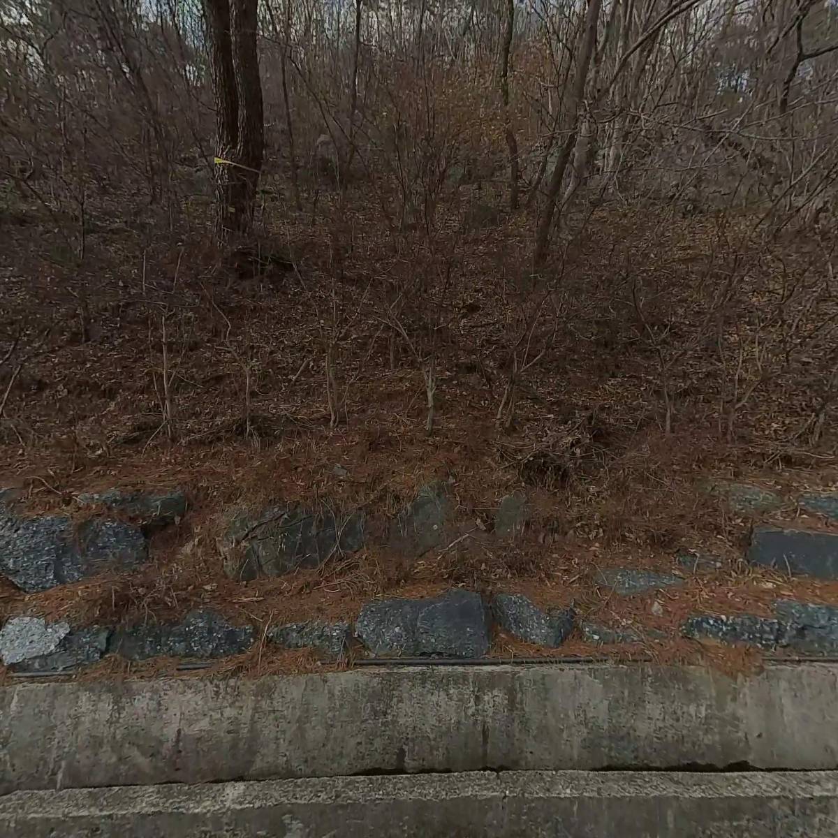문화산업_3
